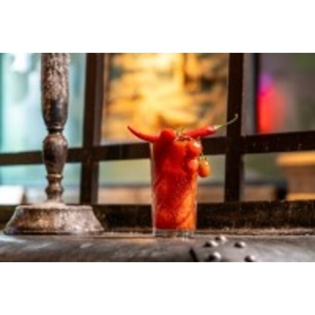 Onis Glazen Horeca Kwaliteit Onis Hobstar | ICON Hi-Ball 355 ml 6/d