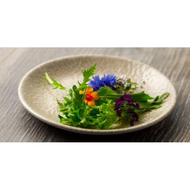 Churchill Servies Horeca Kwaliteit Raku Agate Grey Evolve Coupe Bowl 25cm 12/box