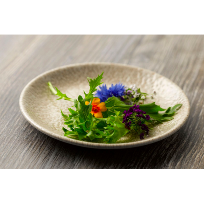 Churchill Servies Horeca Kwaliteit Raku Agate Grey Deep Coupe Plate 28cm 12/box