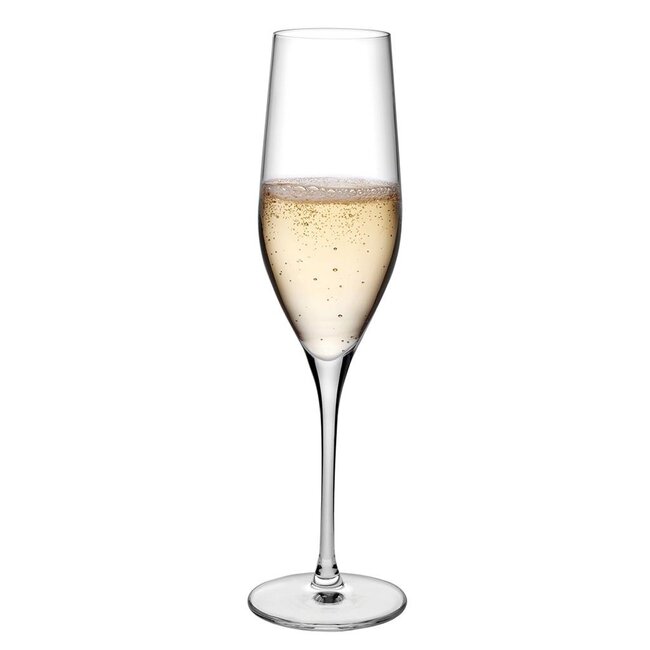 Nude Crystalline glazen Vinifera champagne glas 255 ml