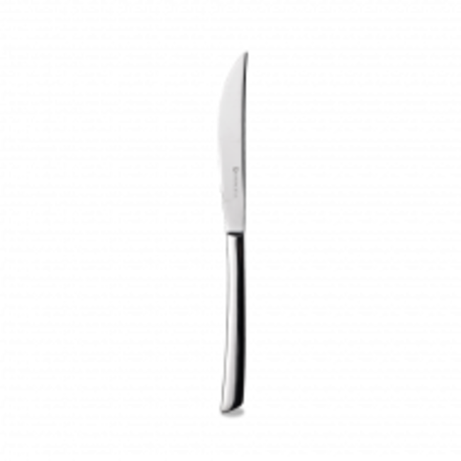 Churchill Servies Horeca Kwaliteit Evolve Steak Knife 23.3cm 12/box