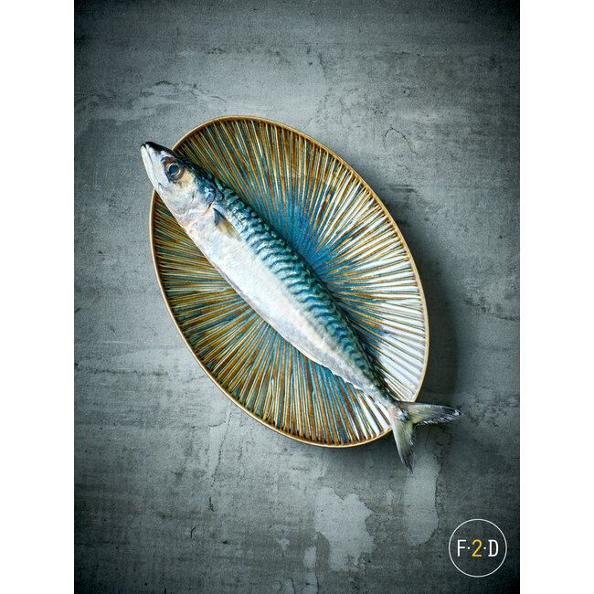 F2D servies Horeca Kwaliteit F2D | Serveerschaal 25,5x17cm forest Halo