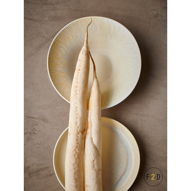 F2D servies Horeca Kwaliteit F2D | Diep bord 24xH5,5cm sand Arco