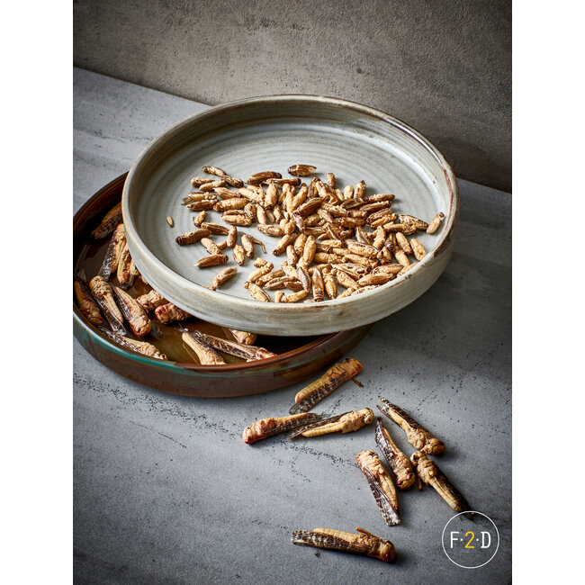 F2D servies Horeca Kwaliteit F2D | Plat bord 28,5xH3,5cm grey Munduk