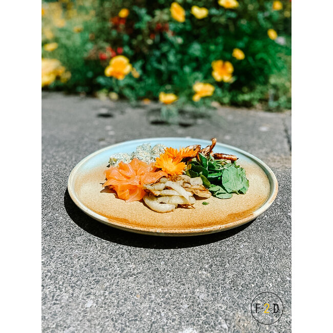 F2D servies Horeca Kwaliteit F2D | Escura Plat Bord 28,5xH2,5cm Brown/Green