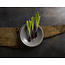 Dudson Servies Horeca Kwaliteit Evo Granite Flat Plate 31,8cm 4/box