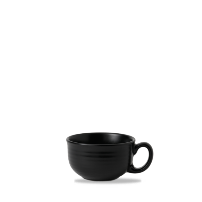 Dudson Servies Horeca Kwaliteit Evo Jet Teacup 230ml 6/box