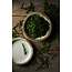 Dudson Servies Horeca Kwaliteit Dudson | Makers Coll Finca Sandstone Organic Coupe Bord 23cm