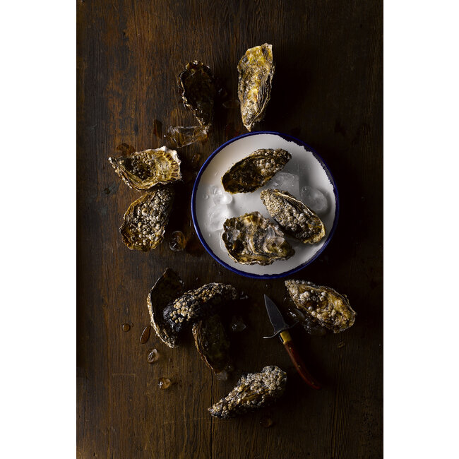 Dudson Servies Horeca Kwaliteit Harvest Ink Coupe Plate 28,8cm 12/box