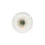 S|P Servies S|P Collectie | Plat bord 23,5xH3,5cm wit Eclipse