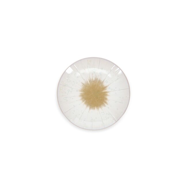 S|P Servies S|P Collectie | Plat bord 18xH3,5cm wit Eclipse