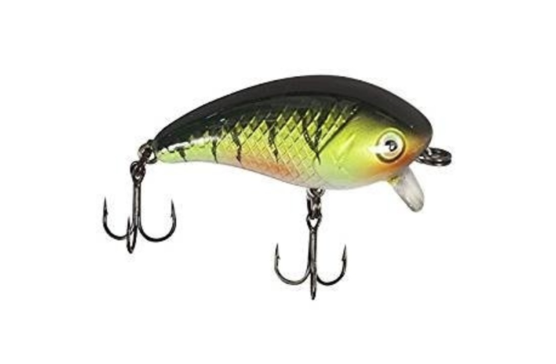 BABY 1-MINUS 5.5 CM PERCH 11 GRAM