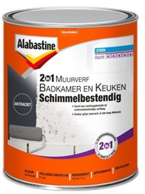 Alabastine 2-in-1 Muurverf Badkamer en Keuken Schimmelbestendig - 1 liter Antraciet