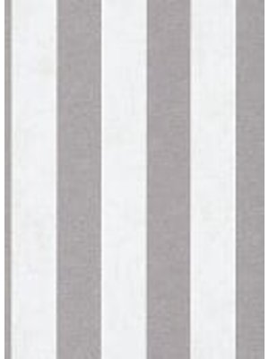 Dutch Wallcoverings Behang Carat Deluxe Streep Wit/Zilver 10077-14