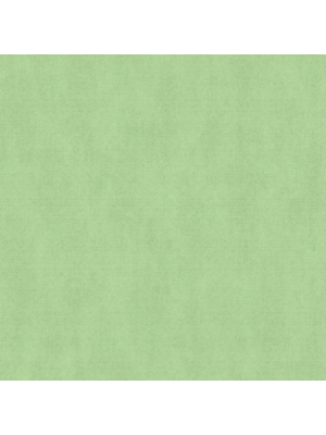 Dutch Wallcoverings Behang Escapade/Couleurs Uni Groen F793-14
