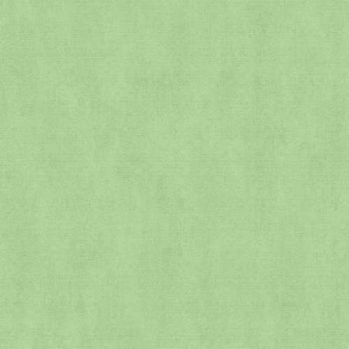 Dutch Wallcoverings Behang Escapade/Couleurs Uni Groen F793-14