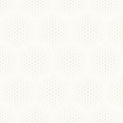 Dutch Wallcoverings Behang Galactik Stippen Wit J506-00