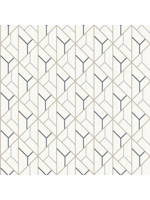 Dutch Wallcoverings Behang Galactik Dessin Beige/D.Blauw L940-07