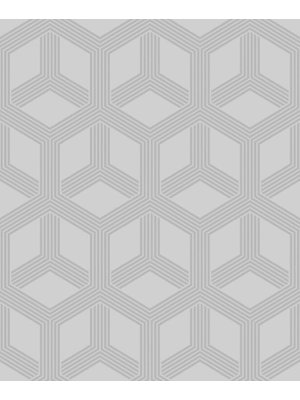 Dutch Wallcoverings Behang Galactik Dessin Grijs L842-09