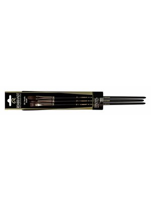 Rembrandt Penselenset Olie & Acrylverf - Series 290, 291, 292 - 10