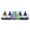Royal Talens Set 5 x 30 ml - Primair Royal Talens Set 5 x 30 ml - Primair