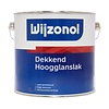 Wijzonol Dekkend Hoogglanslak