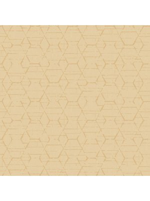 Noordwand Atmosphere Behang met grafische hexagons G78249