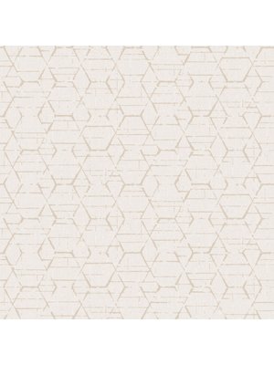 Galerie Atmosphere Behang met grafische hexagons G78250