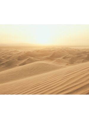 Galerie Atmosphere Fotobehang met woestijn G78423