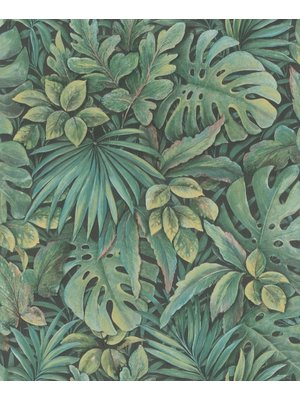 Noordwand Botanica Behang met grote bladeren 33304 Noordwand Botanica Behang met grote bladeren 33304