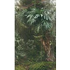 Noordwand Smart Art Easy Fotobehang groene jungle 47208
