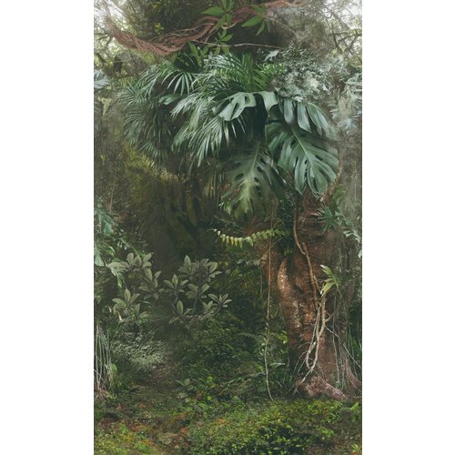 Noordwand Smart Art Easy Fotobehang groene jungle 47208