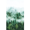 Noordwand Smart Art Easy Fotobehang bos in de mist 47267