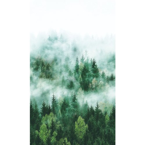 Noordwand Smart Art Easy Fotobehang bos in de mist 47267