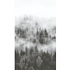 Noordwand Smart Art Easy Fotobehang bos in de mist 47268