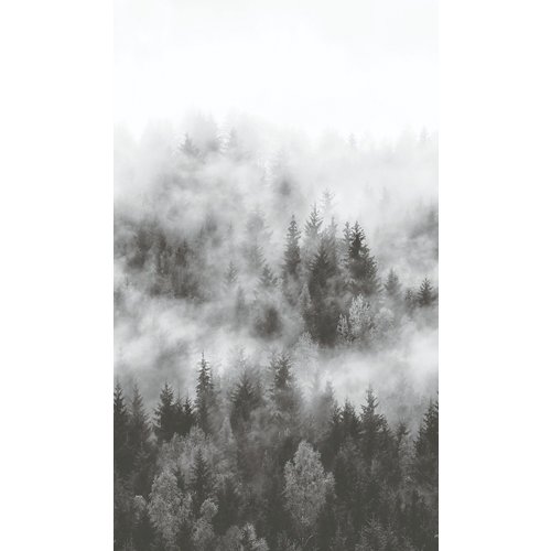 Noordwand Smart Art Easy Fotobehang bos in de mist 47268