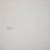Renovlies Behang 22x0,75 m - 150 grams