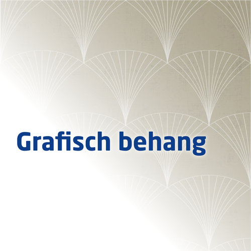 Grafisch behang
