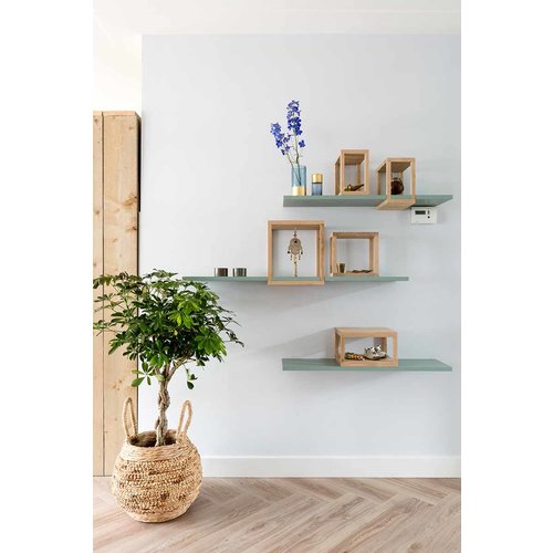 Histor Monodek 10L + 2,5L GRATIS