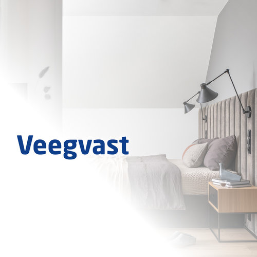 Veegvast