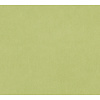 AS Creation Dream Flowery groen behang | 383747