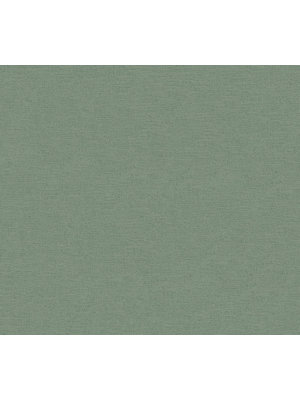 AS Creation Ethnic Origin groen behang | 371787