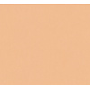 Architects Paper Jungle Chic oranje behang | 377021