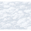 Architects Paper Jungle Chic grijs behang | 377052