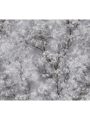 Livingwalls New Walls grijs behang | 374201