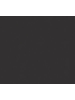 AS Creation Styleguide Jung 2021 zwart behang | 369322