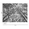 Livingwalls The Wall grijs behang | 382401 Livingwalls The Wall grijs behang | 382401