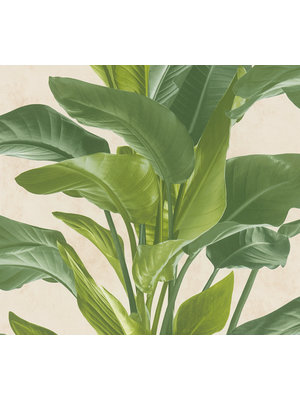 Livingwalls Metropolitan Stories 2 crème behang | 378623