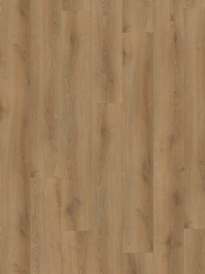 Hoomline PVC - Stilleven Hals 832