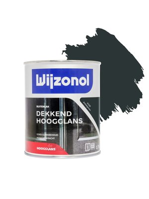 Wijzonol Dekkend Hoogglanslak 750 ml 9328 Antiekgroen